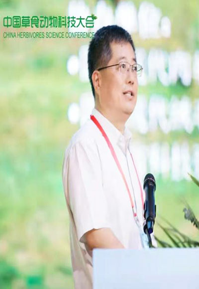 羅軍